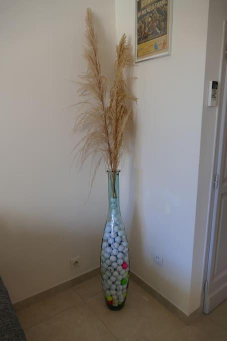 Appartement Clim & Piscine Sur Golf 蓬特洛耶尔 外观 照片